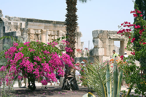 capernaum