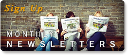 newsletter bug